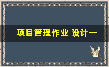 项目管理作业 设计一个项目